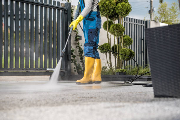 Best Roof Pressure Washing  in Vero Beach South, FL